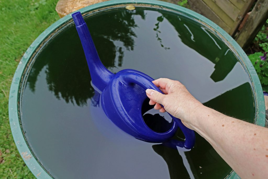 Revisar las regulaciones de recolección de agua de lluvia en tu casa aunque sea para regar el jardín, puede ser ilegal.